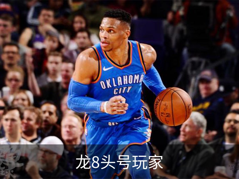 龙8头号玩家概况